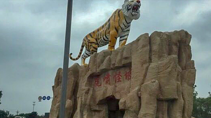 怪坡东北虎园第 16 张图片