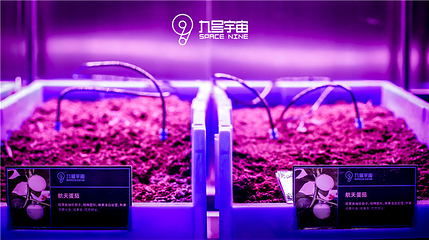 西安九号宇宙航天科普馆第 20 张图片