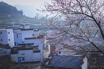 江岭景区第 71 张图片