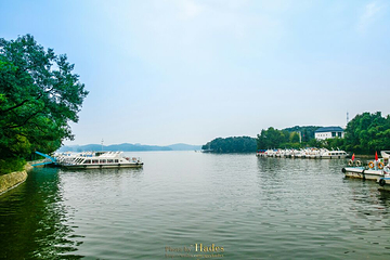 南湾湖风景区第 23 张图片