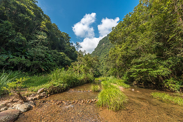 九阜山自然保护区第 7 张图片