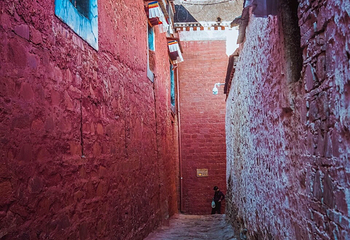 扎什伦布寺第 48 张图片