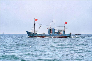 桑岛第 10 张图片