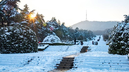 蜀山烈士陵园第 1 张图片