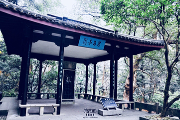 云栖竹径第 22 张图片