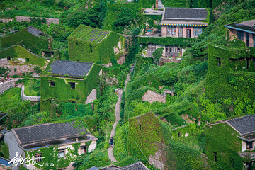 后头湾村第 25 张图片
