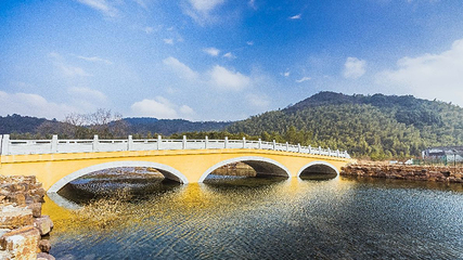 顾渚村第 11 张图片