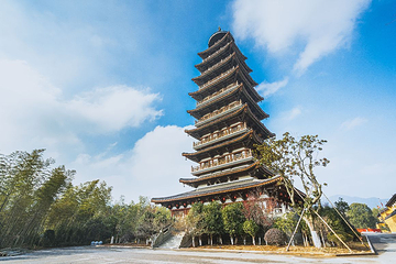 顾渚村第 9 张图片
