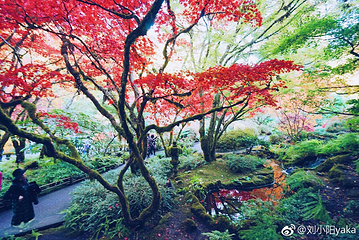布查德花园第 41 张图片