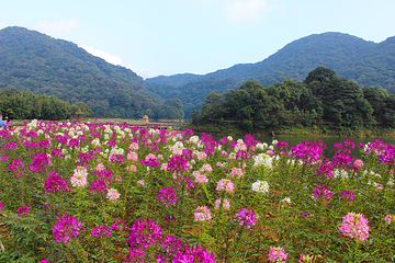 石门国家森林公园第 16 张图片