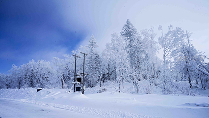 亚雪驿站十里画廊第 18 张图片