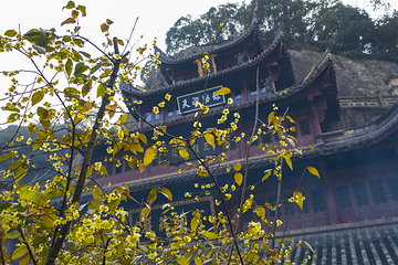 新昌大佛寺景区第 42 张图片