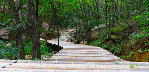 黄金寨原生态旅游区第 82 张图片