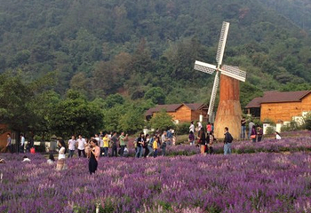 德庆盘龙峡生态旅游区第 27 张图片