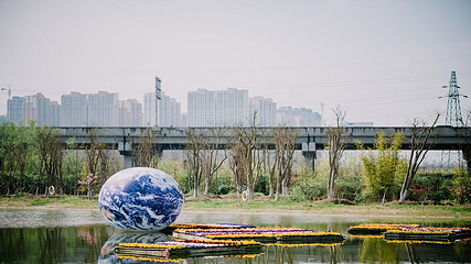 蔚然花海第 198 张图片