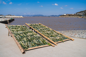 白沙岛景区第 11 张图片