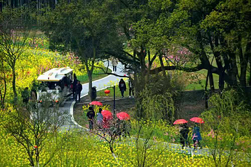 墨潭桃花岛第 23 张图片