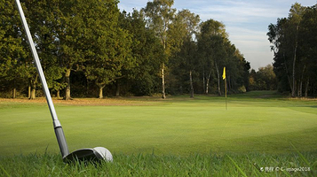 上海新天鸿名人高尔夫新城
