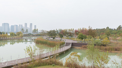 蚌埠龙子湖景区第 3 张图片