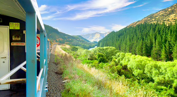 高山观景火车之旅