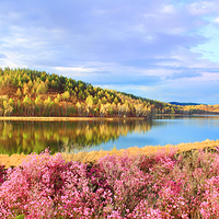 达尔滨湖国家森林公园