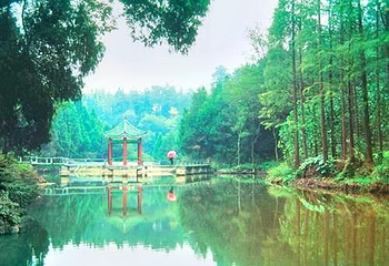 七里山森林公园第 1 张图片