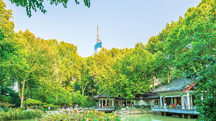 中山公园第 1 张图片