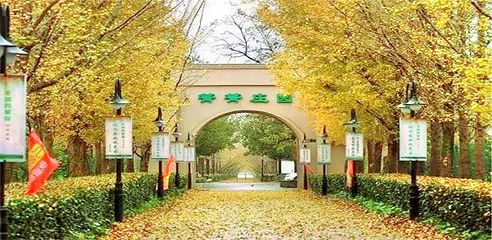 箐箐庄园第 1 张图片