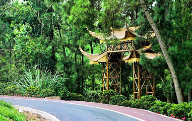 响水滩乡村记忆旅游景区第 1 张图片