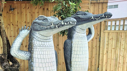 广东鳄人谷生态旅游区第 4 张图片