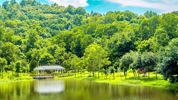 龙岗区大运公园