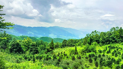 摩围山景区第 1 张图片