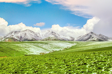 祁连山·岗什卡雪峰景区第 3 张图片