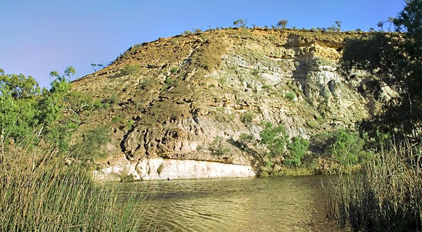 猫王蜜月度假地