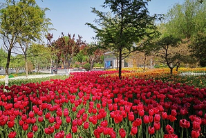 池州生态湿地公园