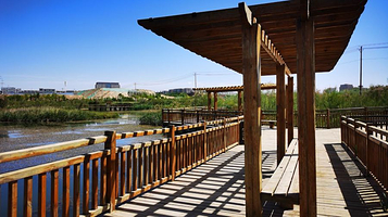 甘肃兰州秦王川国家湿地公园