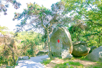 孟良崮旅游区第 29 张图片