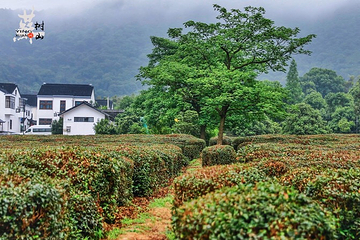 树山生态村第 4 张图片