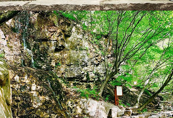石膏山第 29 张图片