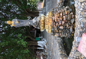 万绿湖风景区第 60 张图片