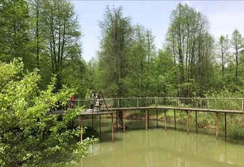 青山湖第 33 张图片