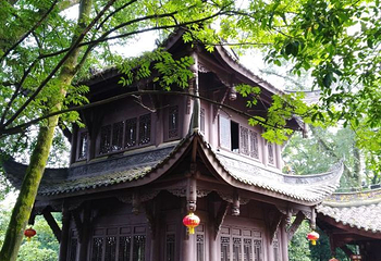 缙云山生态旅游观光索道第 20 张图片