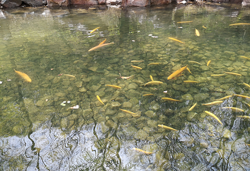关山湖第 36 张图片