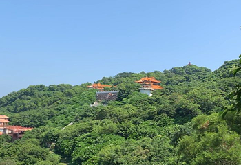 放鸡岛生态旅游国际度假区第 36 张图片