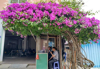 角美多棱温泉第 13 张图片
