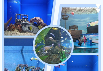 长春中泰海洋世界第 31 张图片