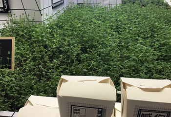 k11美术馆(k11购物艺术中心)第 35 张图片
