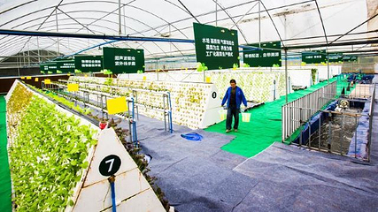 七彩大庄园第 5 张图片