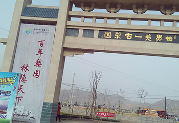 什川古梨园第 13 张图片