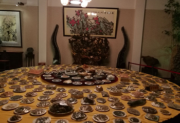 抚仙湖奇石博物馆第 6 张图片